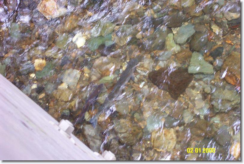 You have reached the last slide