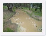 IMG_9312 * Ormiston's Gully (Inside The Levee Bank) Which Flooded Charleville * 2592 x 1944 * (1.61MB)