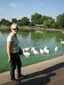 IMG_0768
