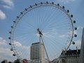 IMG_0830