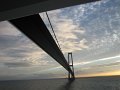 IMG_1401