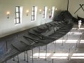 IMG_0905