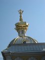 IMG_1231