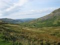 IMG_1552