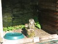 IMG_1659