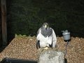 IMG_1663