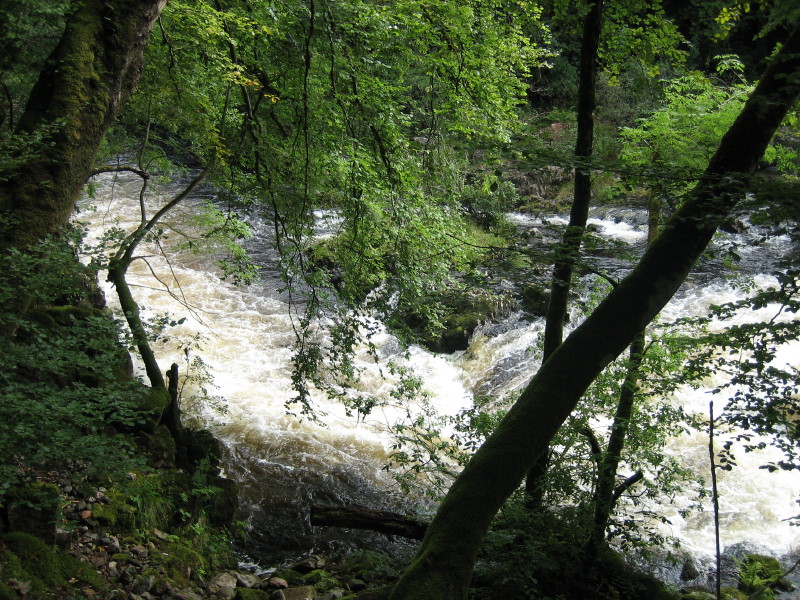 IMG_1736.JPG