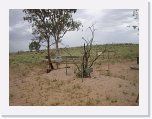 IMG_9132 * Birdsville Cemetery * 2592 x 1944 * (1.84MB)
