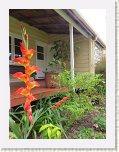 IMG_2797 * 960 x 1280 * (264KB)