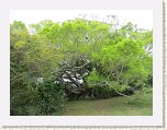 IMG_2809 * 1280 x 960 * (367KB)
