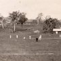 A game of cricket c1935-36.