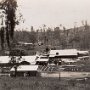 View of timber mill