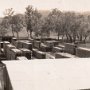Timber yard.  Across the road from the Sawmill in the Railway Yard.  Irvine Best was yard foreman.